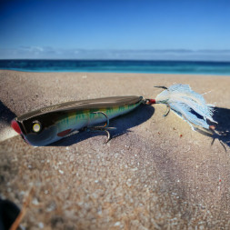 Воблер Condor Ghoog-Pop 70 размер 70 мм вес 7.5 гр поверхностный, цвет 258